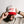 Load image into Gallery viewer, Funkytown Ft. Worth Texas - TX - Ball Cap - Natural/Red
