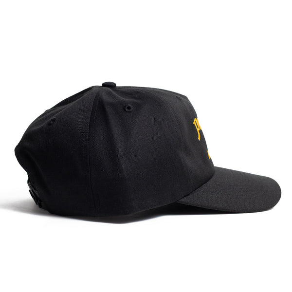 Panther City Ft. Worth - TX - Ball Cap